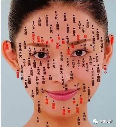 女人鼻子有痣|面相学：脸上的痣相代表什么？17个部位痣相的含义和。